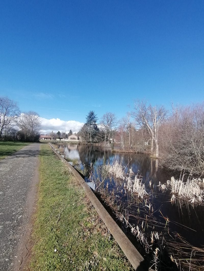 &Eacute;tang avec chemin de promenade &agrave; Bel Air